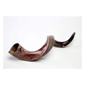 Shofar